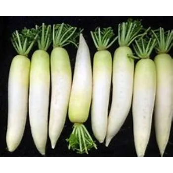 Natural Radish
