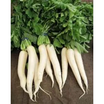Natural Radish