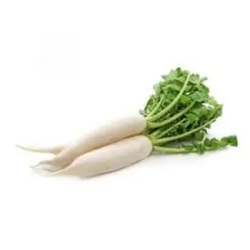 Natural Radish