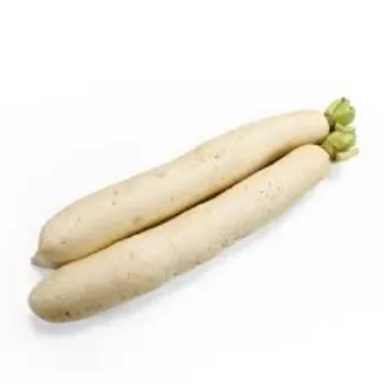Common Fresh Radish