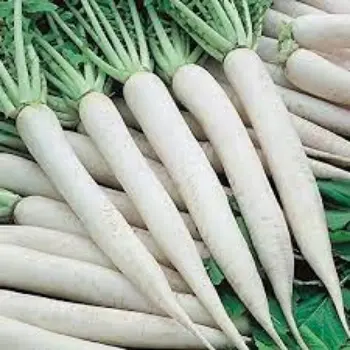 Natural Radish