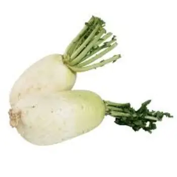Natural Radish
