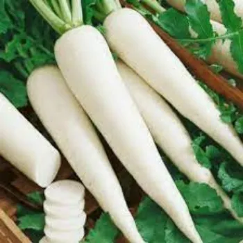 Organic Fresh Radish