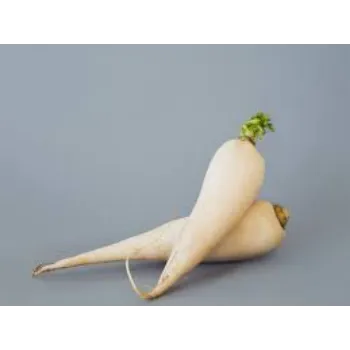 Organic Fresh Radish