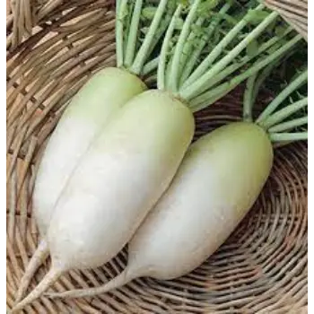 Natural Radish