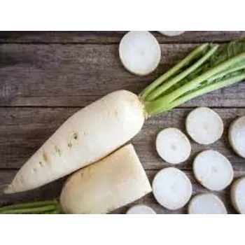 Natural Fresh Radish