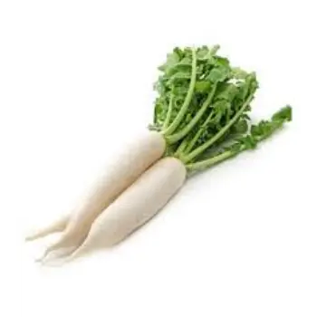 Organic Radish