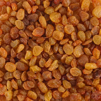 Fresh Brown Raisins