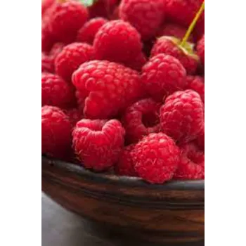 Raspberry Ketone
