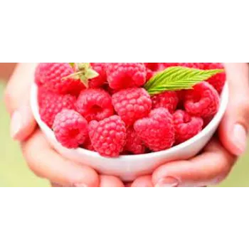 Raspberry Ketone