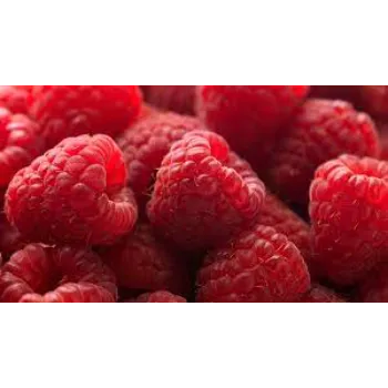 Raspberry Ketone