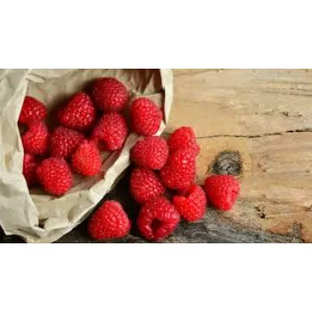 Raspberry Ketone