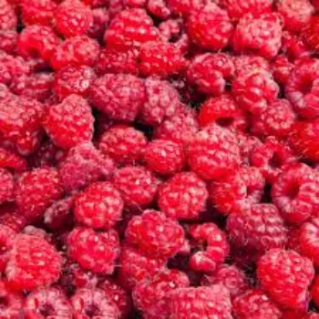 Raspberry Ketone