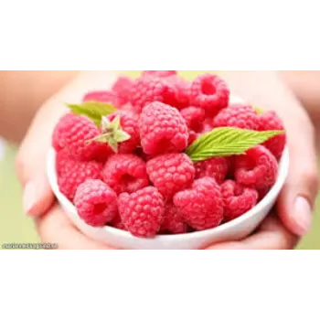 Raspberry Ketone