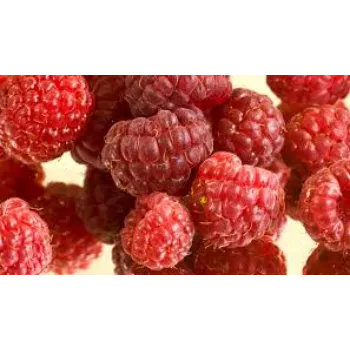 Raspberry Ketone