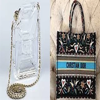 Transparent Ravishing Designer bag