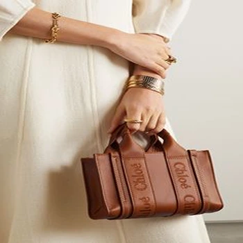Compact Brown Classic Bag for Ladies