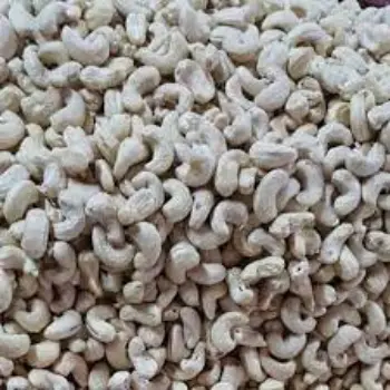 Common Raw Cashew Nuts