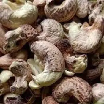 Natural Raw Cashew Nuts