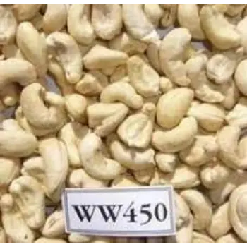 Common  Raw Cashew Nuts