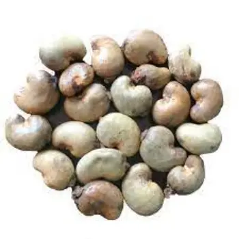 Common Raw Cashew Nuts