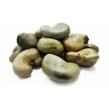 Organic Raw Cashew Nuts