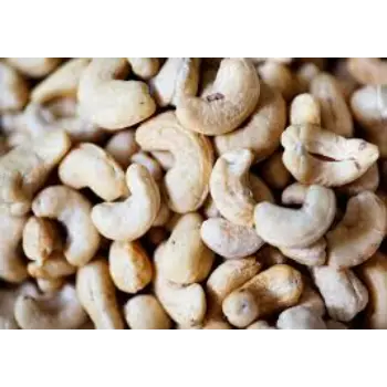 Common Raw Cashew Nuts