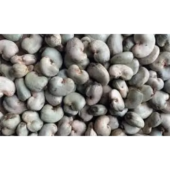 Natural Raw Cashew Nuts