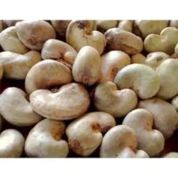 Natural Raw Cashew Nuts