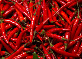 Red Chilli
