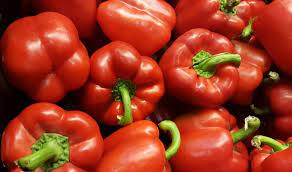 Red Capsicum Manufacturers in India