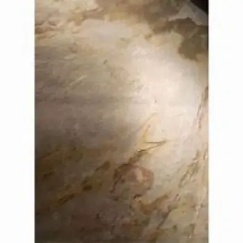 Solid Recon Veneer