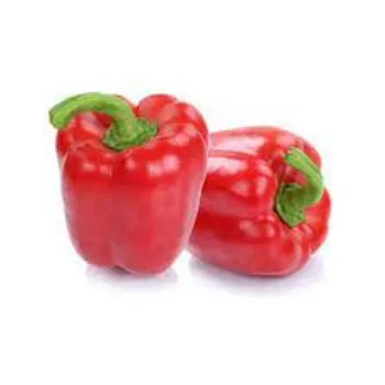 Organic Red Capsicum