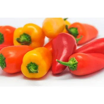 Red Capsicum