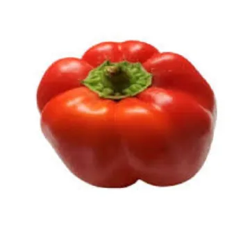 Red Capsicum