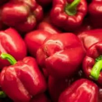 Red Capsicum