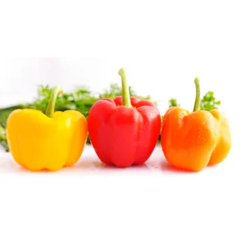 Red Capsicum