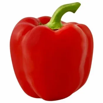 Common Red Capsicum