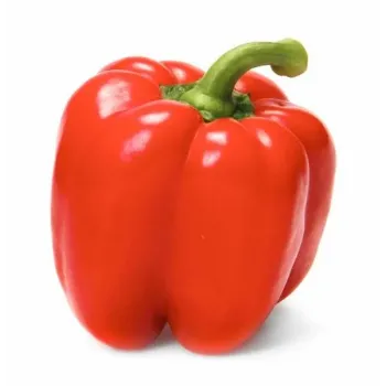Red Capsicum