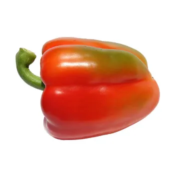 Red Capsicum