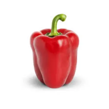 Organic Red Capsicum