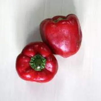 Common Red Capsicum