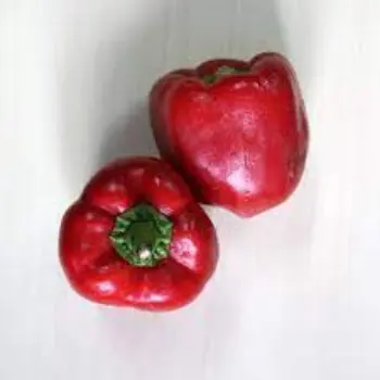 Common Red Capsicum