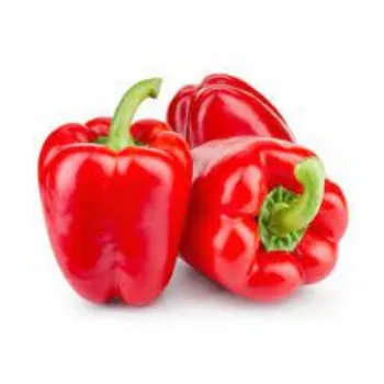 Fresh Red Capsicum