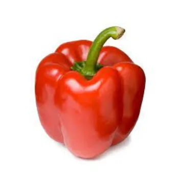 Organic Red Capsicum