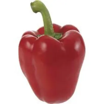 Common Red Capsicum