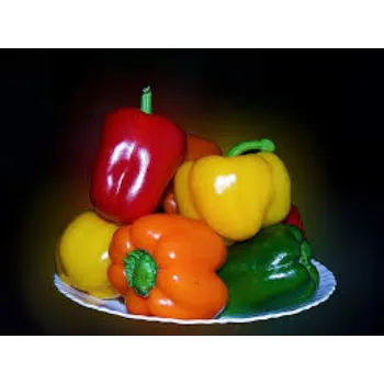 Fresh Red Capsicum