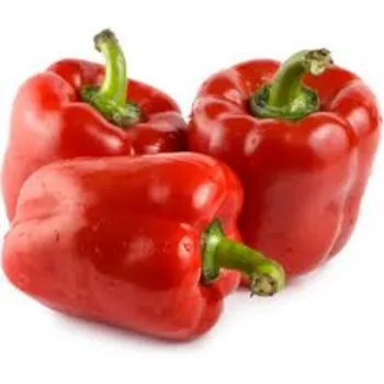 Fresh Red Capsicum