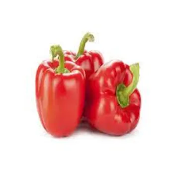 Common Red Capsicum