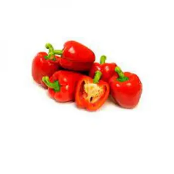 Common Red Capsicum